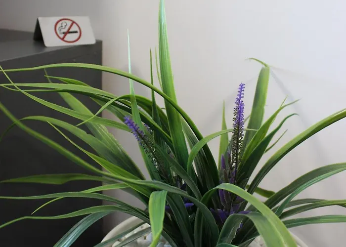 Candy 26 韦林格勒